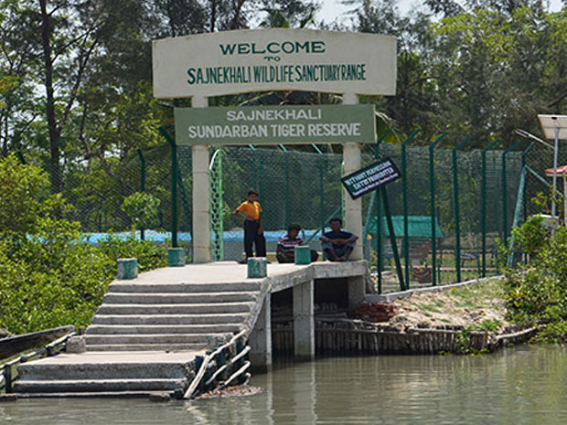 sundarban3