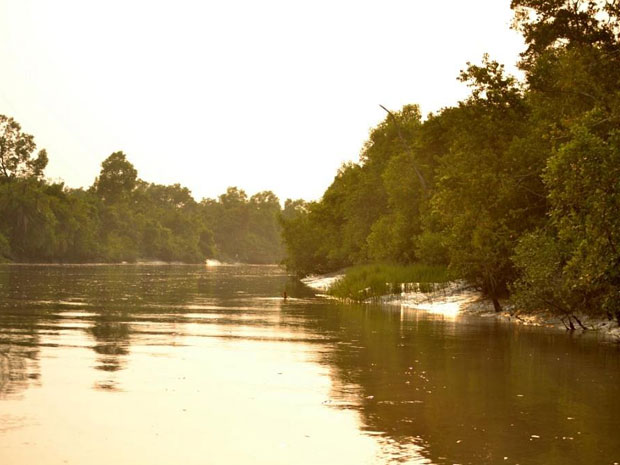 sundarban7