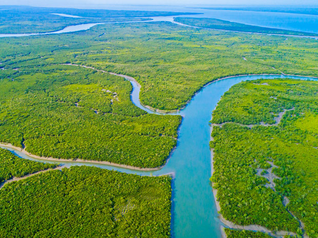 sundarban9